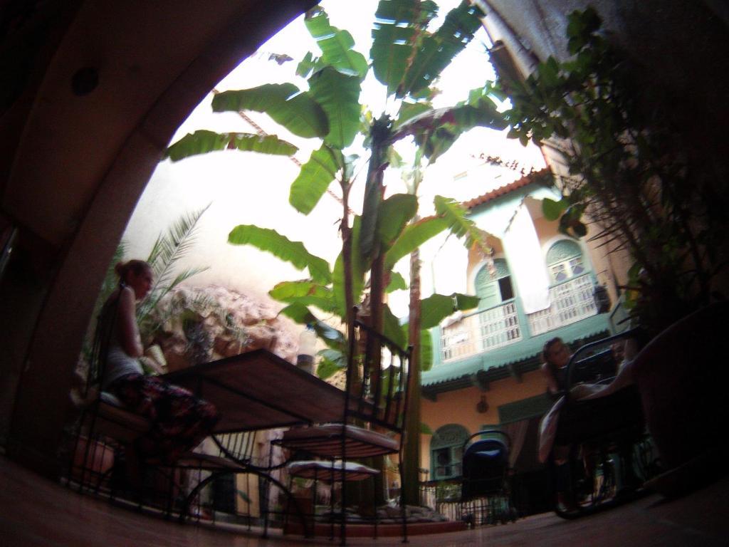 Riad Dar Mchicha Marrakesh Bagian luar foto