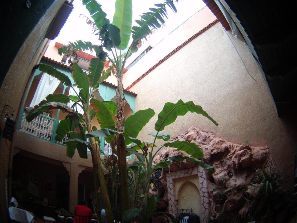 Riad Dar Mchicha Marrakesh Bagian luar foto