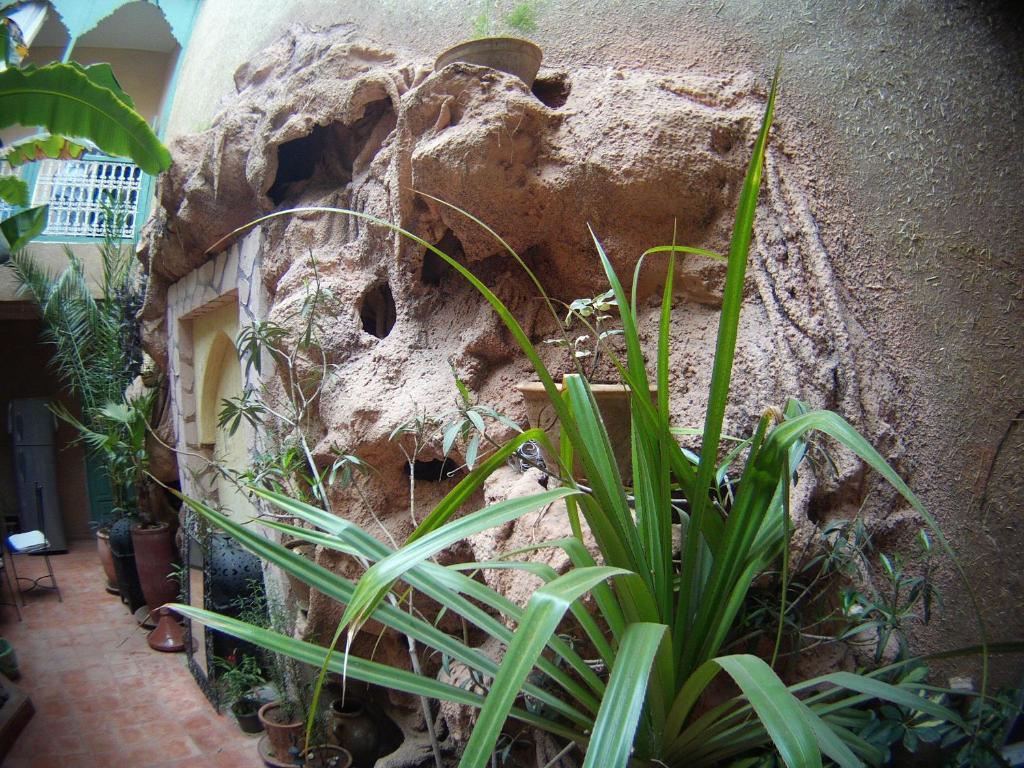 Riad Dar Mchicha Marrakesh Bagian luar foto